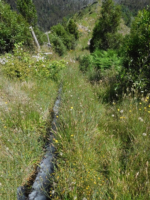 21 June 2016 Levada da Negra and Barreiro — From the turn-off of the upper Escadinhas do Menino Jesus to the gravel track in the Parque Ecologico — photo 55