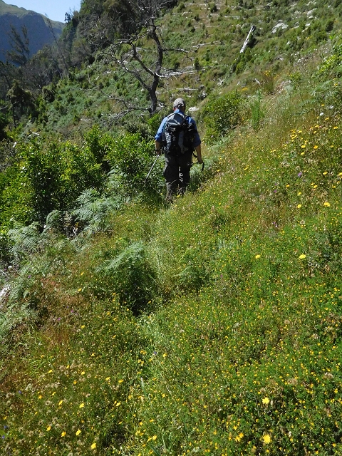 21 June 2016 Levada da Negra and Barreiro — From the gravel track in the Parque Ecologico to the Tornos springs — photo 1