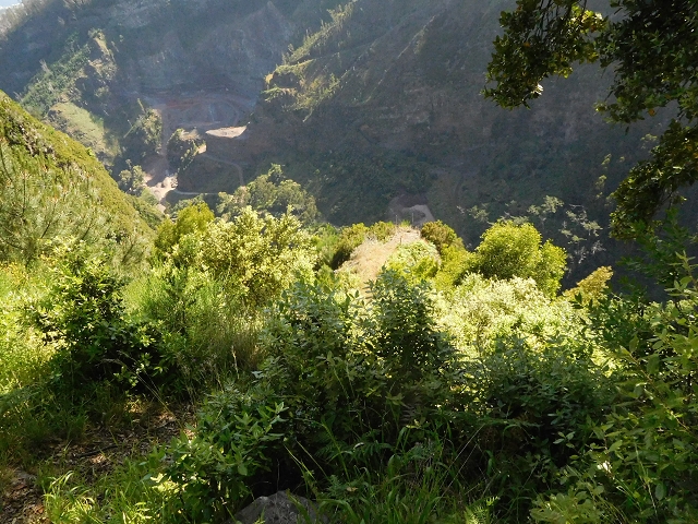 21 June 2016 Levada da Negra and Barreiro — From the gravel track in the Parque Ecologico to the Tornos springs — photo 4