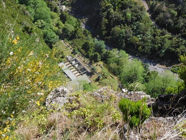 21 June 2016 Levada da Negra and Barreiro — From the gravel track in the Parque Ecologico to the Tornos springs — photo 5