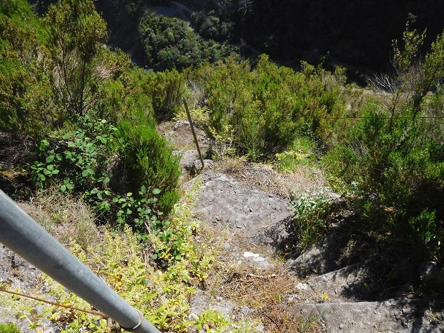 21 June 2016 Levada da Negra and Barreiro — From the gravel track in the Parque Ecologico to the Tornos springs — photo 6