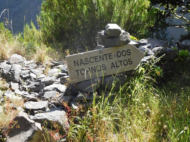 21 June 2016 Levada da Negra and Barreiro — From the gravel track in the Parque Ecologico to the Tornos springs — photo 7