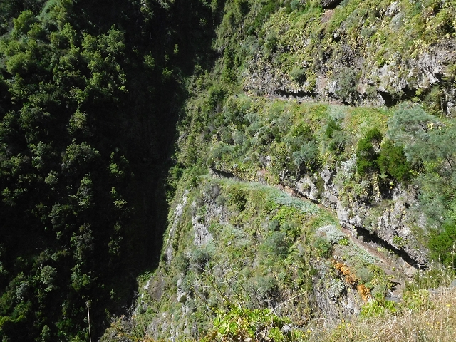21 June 2016 Levada da Negra and Barreiro — Descent to Corujeira — photo 1