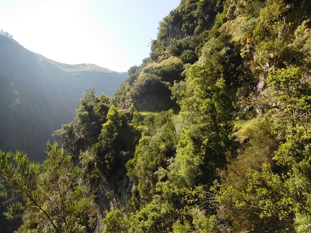 21 June 2016 Levada da Negra and Barreiro — Descent to Corujeira — photo 4