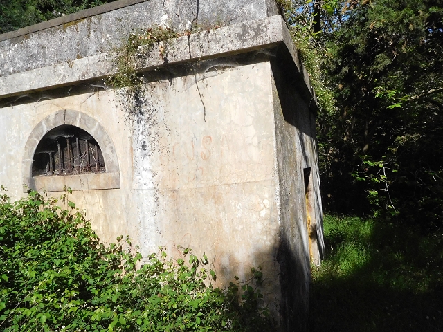 21 June 2016 Levada da Negra and Barreiro — Descent to Corujeira — photo 8