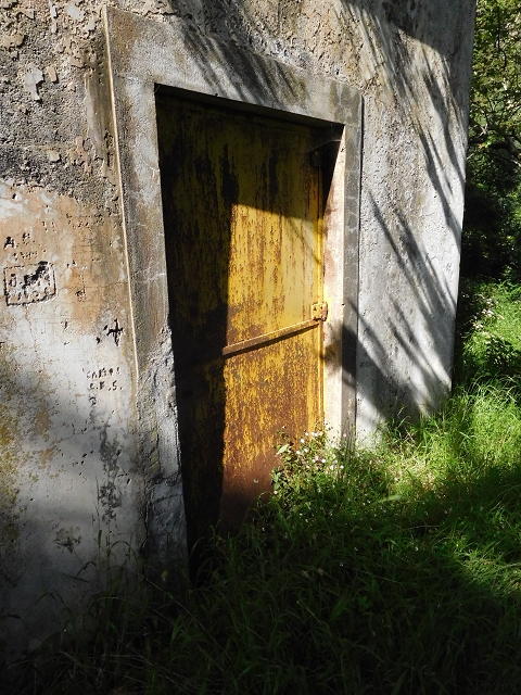 21 June 2016 Levada da Negra and Barreiro — Descent to Corujeira — photo 9