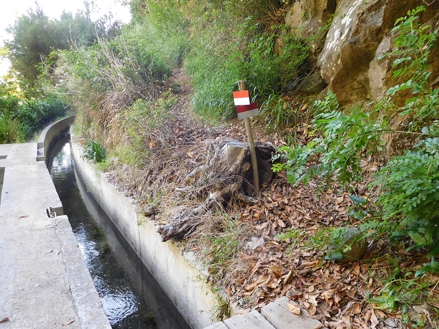 21 June 2016 Levada da Negra and Barreiro — Descent to Corujeira — photo 12