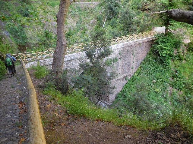 21 June 2016 Levada da Negra and Barreiro — Descent to Corujeira — photo 14