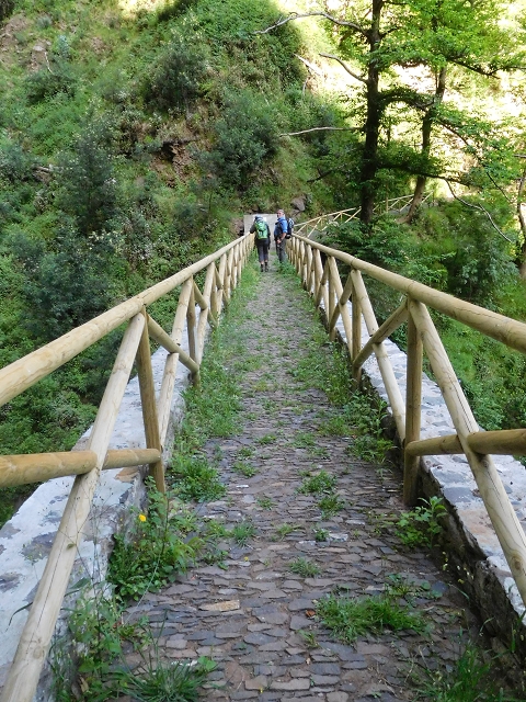 21 June 2016 Levada da Negra and Barreiro — Descent to Corujeira — photo 15