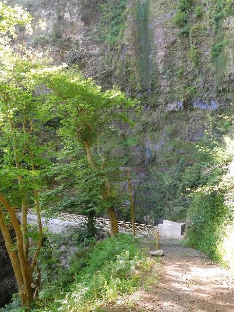 21 June 2016 Levada da Negra and Barreiro — Descent to Corujeira — photo 18