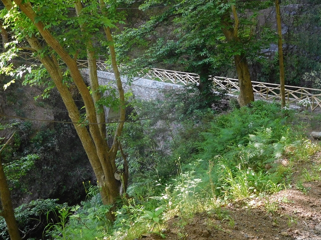 21 June 2016 Levada da Negra and Barreiro — Descent to Corujeira — photo 19