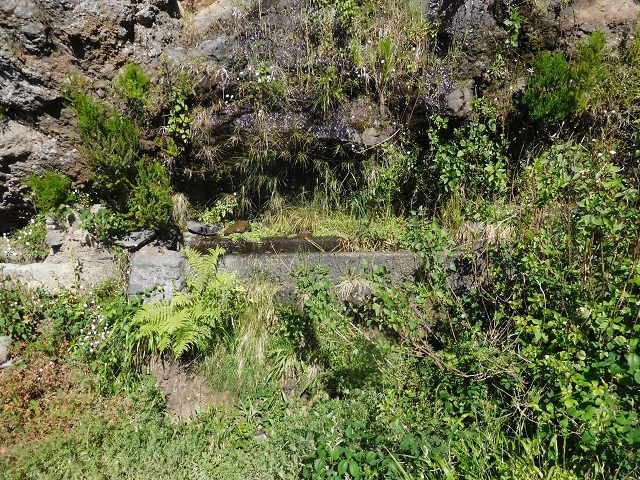 21 June 2016 Levada da Negra and Barreiro — From the junction with the feeder road to the panorama road as far as the Ribeira do Santo Antonio — photo 11