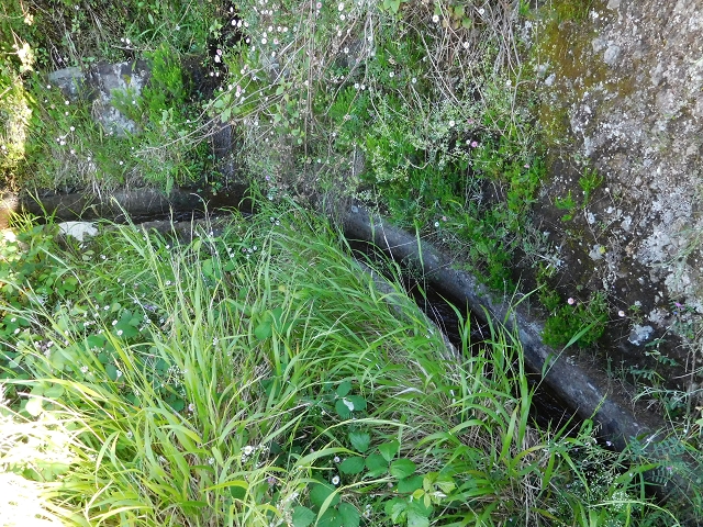 21 June 2016 Levada da Negra and Barreiro — From the junction with the feeder road to the panorama road as far as the Ribeira do Santo Antonio — photo 12