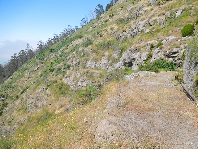 21 June 2016 Levada da Negra and Barreiro — From the junction with the feeder road to the panorama road as far as the Ribeira do Santo Antonio — photo 13