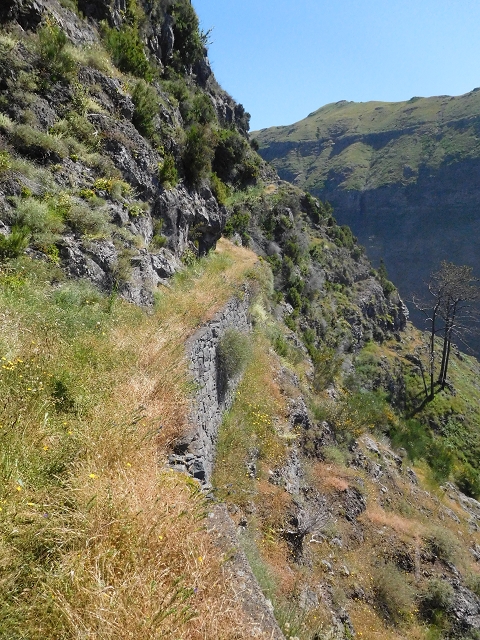 21 June 2016 Levada da Negra and Barreiro — From the junction with the feeder road to the panorama road as far as the Ribeira do Santo Antonio — photo 15