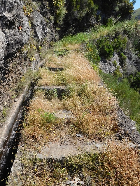 21 June 2016 Levada da Negra and Barreiro — From the junction with the feeder road to the panorama road as far as the Ribeira do Santo Antonio — photo 16