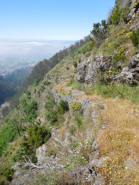 21 June 2016 Levada da Negra and Barreiro — From the junction with the feeder road to the panorama road as far as the Ribeira do Santo Antonio — photo 18