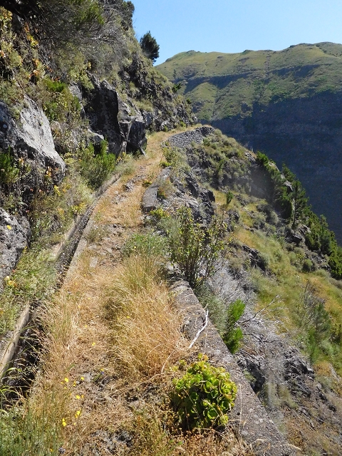 21 June 2016 Levada da Negra and Barreiro — From the junction with the feeder road to the panorama road as far as the Ribeira do Santo Antonio — photo 19