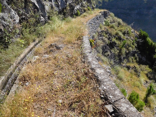 21 June 2016 Levada da Negra and Barreiro — From the junction with the feeder road to the panorama road as far as the Ribeira do Santo Antonio — photo 20