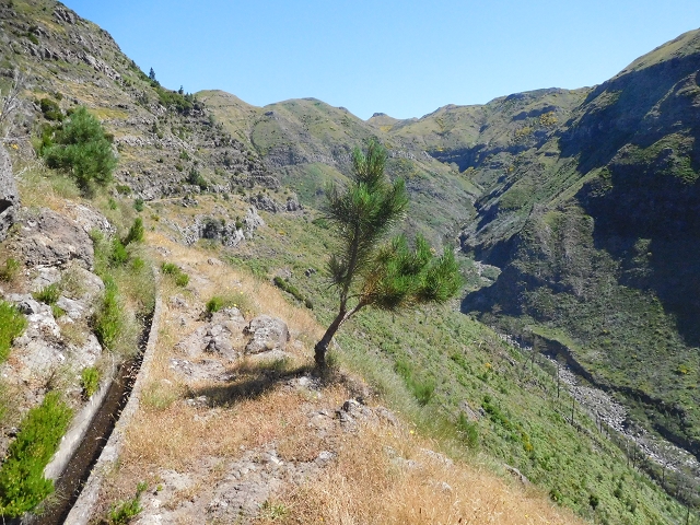 21 June 2016 Levada da Negra and Barreiro — From the junction with the feeder road to the panorama road as far as the Ribeira do Santo Antonio — photo 22
