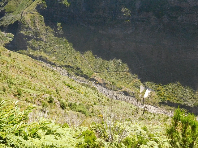 21 June 2016 Levada da Negra and Barreiro — From the junction with the feeder road to the panorama road as far as the Ribeira do Santo Antonio — photo 24