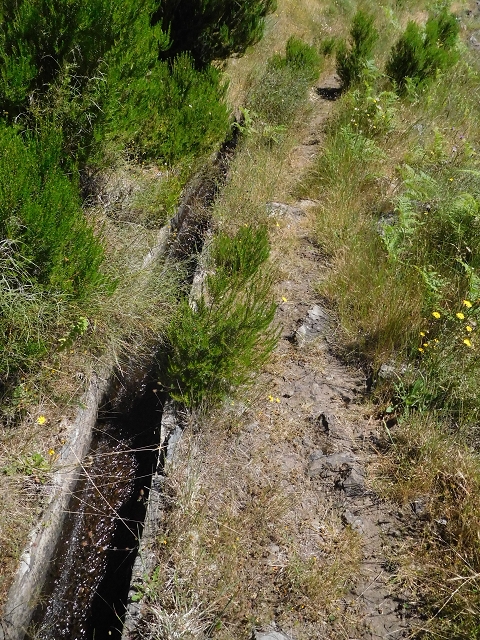 21 June 2016 Levada da Negra and Barreiro — From the junction with the feeder road to the panorama road as far as the Ribeira do Santo Antonio — photo 25