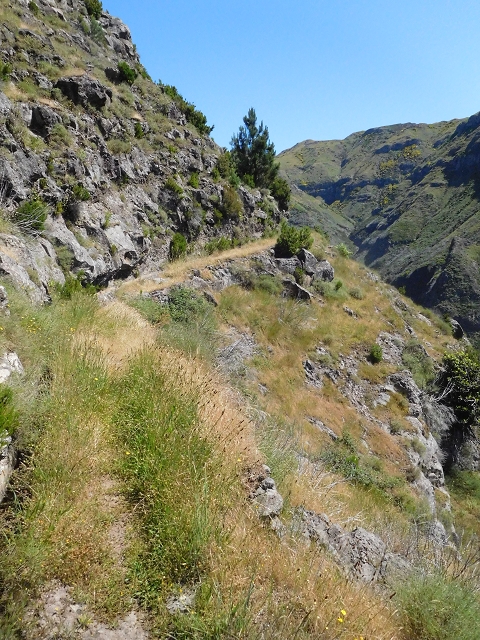 21 June 2016 Levada da Negra and Barreiro — From the junction with the feeder road to the panorama road as far as the Ribeira do Santo Antonio — photo 27