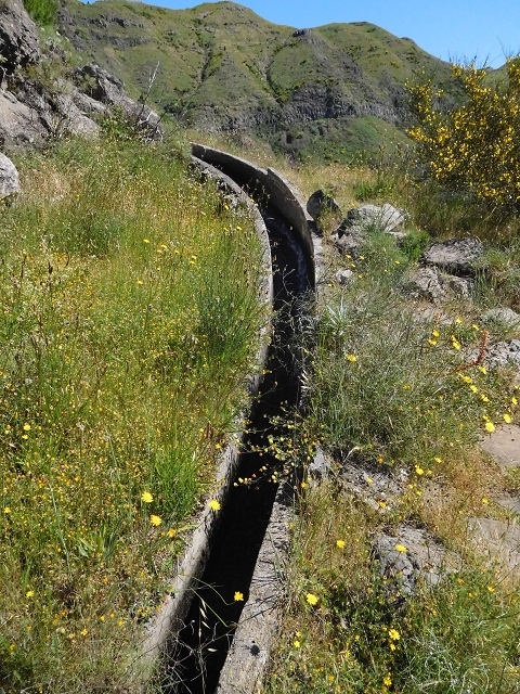 21 June 2016 Levada da Negra and Barreiro — From the junction with the feeder road to the panorama road as far as the Ribeira do Santo Antonio — photo 29