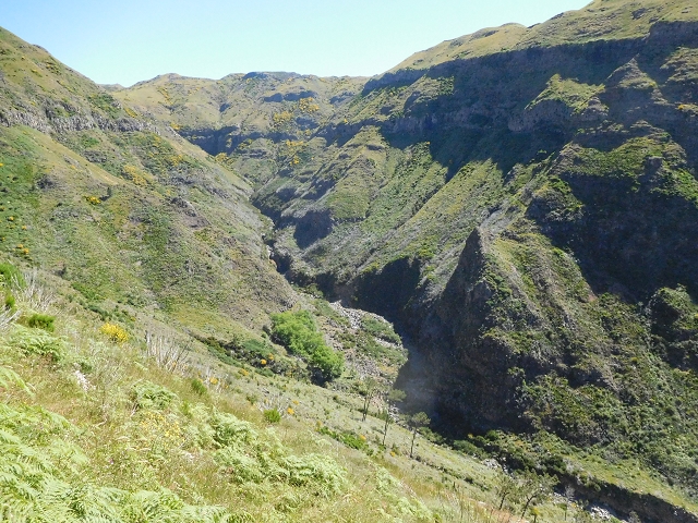 21 June 2016 Levada da Negra and Barreiro — From the junction with the feeder road to the panorama road as far as the Ribeira do Santo Antonio — photo 30