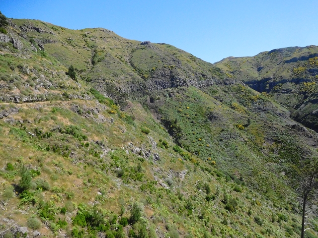 21 June 2016 Levada da Negra and Barreiro — From the junction with the feeder road to the panorama road as far as the Ribeira do Santo Antonio — photo 33