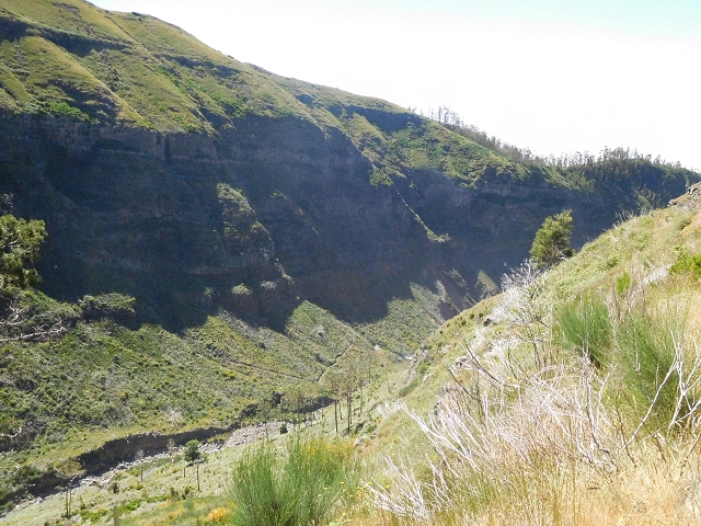 21 June 2016 Levada da Negra and Barreiro — From the junction with the feeder road to the panorama road as far as the Ribeira do Santo Antonio — photo 34
