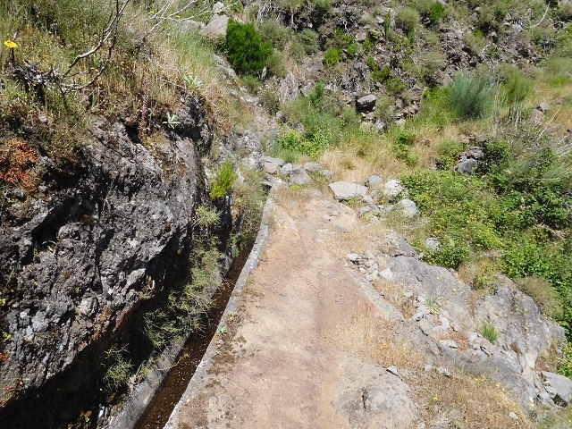 21 June 2016 Levada da Negra and Barreiro — From the junction with the feeder road to the panorama road as far as the Ribeira do Santo Antonio — photo 35