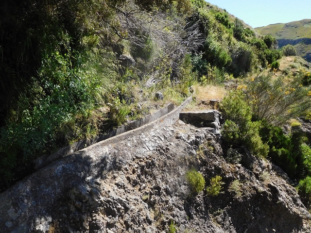 21 June 2016 Levada da Negra and Barreiro — From the junction with the feeder road to the panorama road as far as the Ribeira do Santo Antonio — photo 39