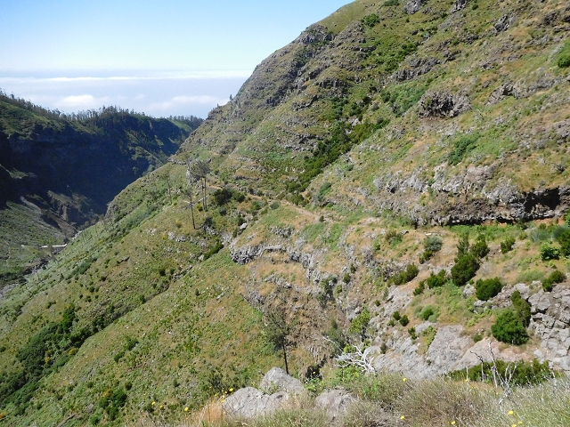 21 June 2016 Levada da Negra and Barreiro — From the junction with the feeder road to the panorama road as far as the Ribeira do Santo Antonio — photo 42
