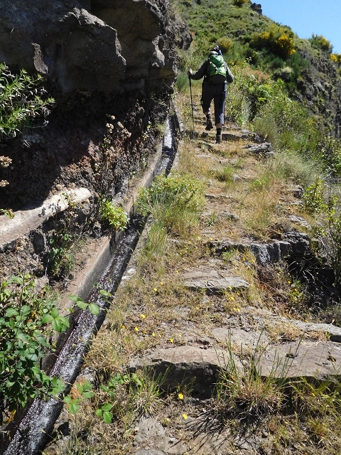 21 June 2016 Levada da Negra and Barreiro — From the junction with the feeder road to the panorama road as far as the Ribeira do Santo Antonio — photo 47