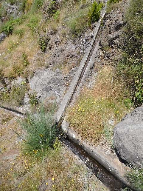 21 June 2016 Levada da Negra and Barreiro — From the junction with the feeder road to the panorama road as far as the Ribeira do Santo Antonio — photo 48