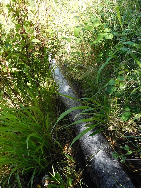 21 June 2016 Levada da Negra and Barreiro — From the junction with the feeder road to the panorama road as far as the Ribeira do Santo Antonio — photo 50