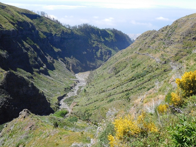21 June 2016 Levada da Negra and Barreiro — From the junction with the feeder road to the panorama road as far as the Ribeira do Santo Antonio — photo 54