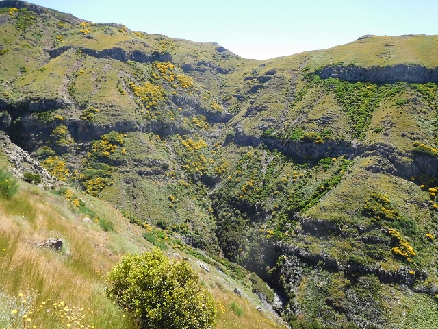 21 June 2016 Levada da Negra and Barreiro — From the junction with the feeder road to the panorama road as far as the Ribeira do Santo Antonio — photo 56