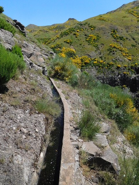 21 June 2016 Levada da Negra and Barreiro — From the junction with the feeder road to the panorama road as far as the Ribeira do Santo Antonio — photo 59