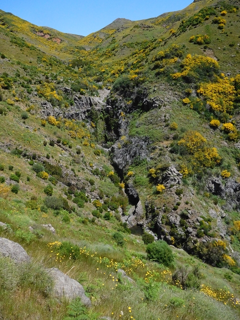 21 June 2016 Levada da Negra and Barreiro — From the junction with the feeder road to the panorama road as far as the Ribeira do Santo Antonio — photo 61