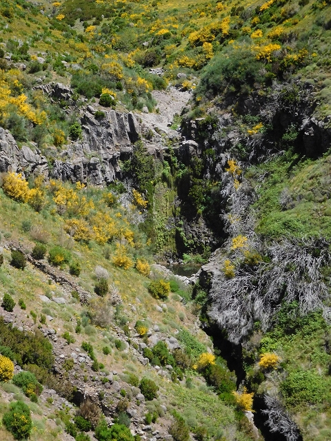 21 June 2016 Levada da Negra and Barreiro — From the junction with the feeder road to the panorama road as far as the Ribeira do Santo Antonio — photo 62