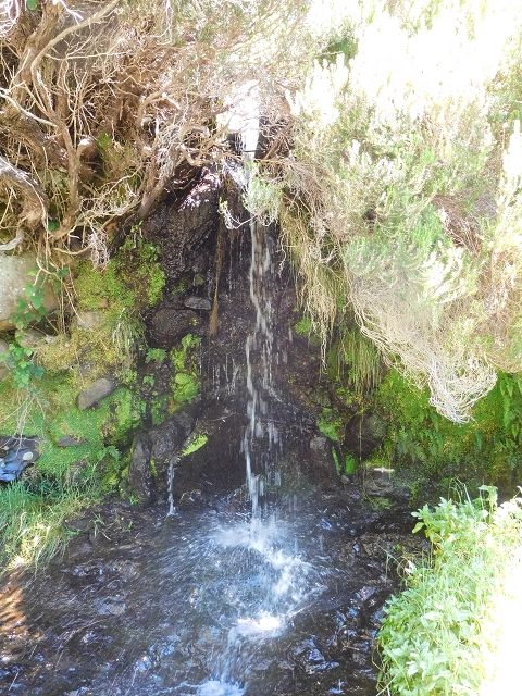 21 June 2016 Levada da Negra and Barreiro — From the junction with the feeder road to the panorama road as far as the Ribeira do Santo Antonio — photo 68