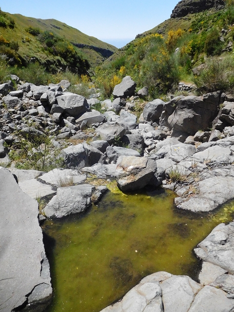 21 June 2016 Levada da Negra and Barreiro — From the junction with the feeder road to the panorama road as far as the Ribeira do Santo Antonio — photo 69