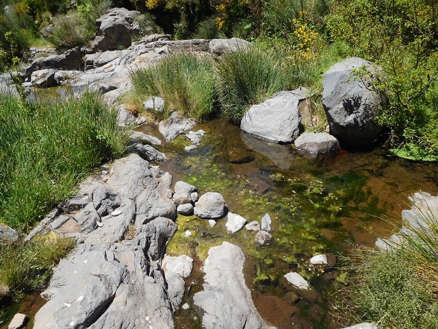 21 June 2016 Levada da Negra and Barreiro — From the Ribeira do Santo Antonio to the panorama road — photo 1