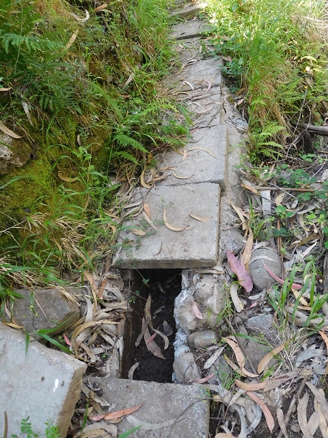 21 June 2016 Levada da Negra and Barreiro — From Barreira to the junction with the feeder road to the panorama road — photo 8