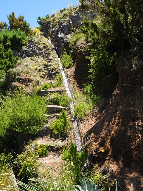 21 June 2016 Levada da Negra and Barreiro — From the Ribeira do Santo Antonio to the panorama road — photo 7
