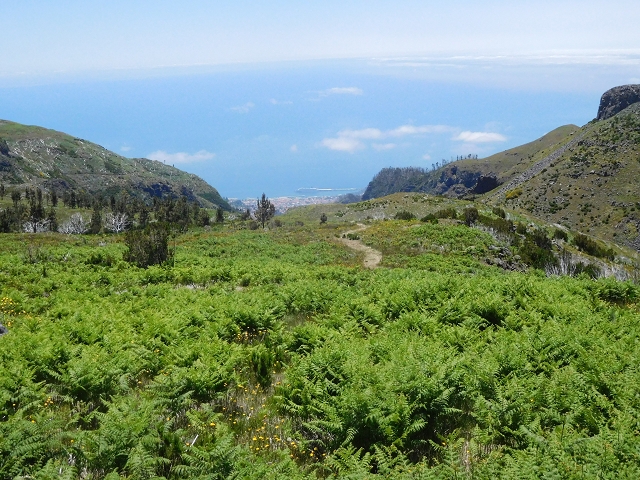 21 June 2016 Levada da Negra and Barreiro — On the panorama road to the start of the Levada do Barreiro — photo 2