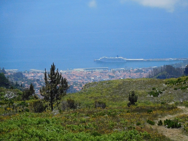 21 June 2016 Levada da Negra and Barreiro — On the panorama road to the start of the Levada do Barreiro — photo 3