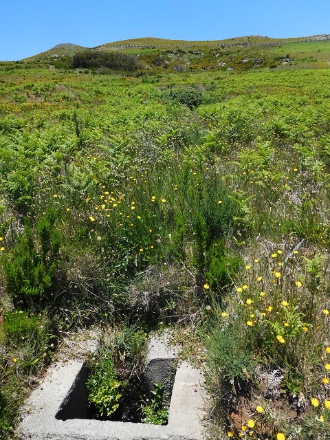 21 June 2016 Levada da Negra and Barreiro — From the start of the Levada do Barreiro to the bed of the side branch of the Ribeira de Santa Luzia — photo 1